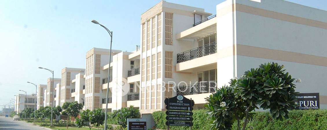 3 BHK Flat In Puri Vip Floors For Sale  In Sector 81