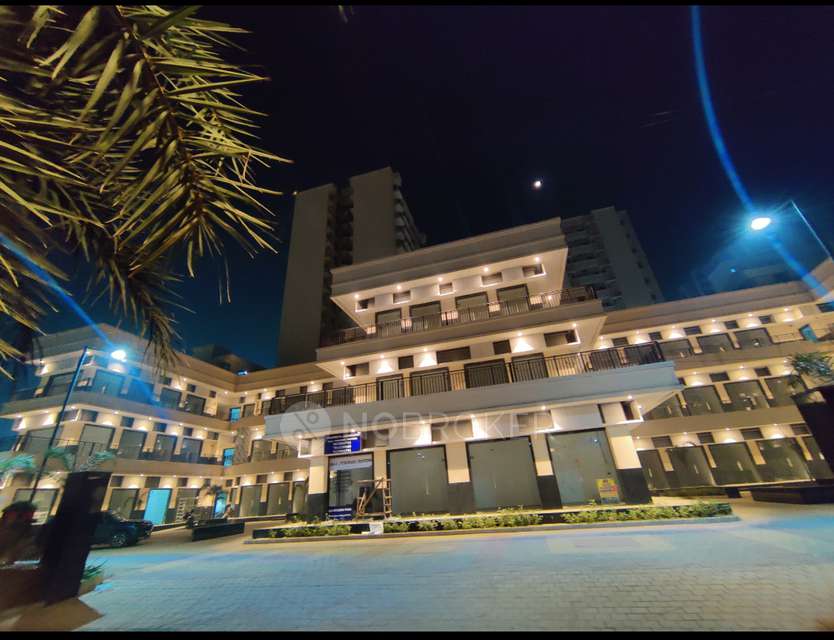 2 BHK Flat In Signature Signum 37d Iii, Sector 37d for Rent  In Sector 37d