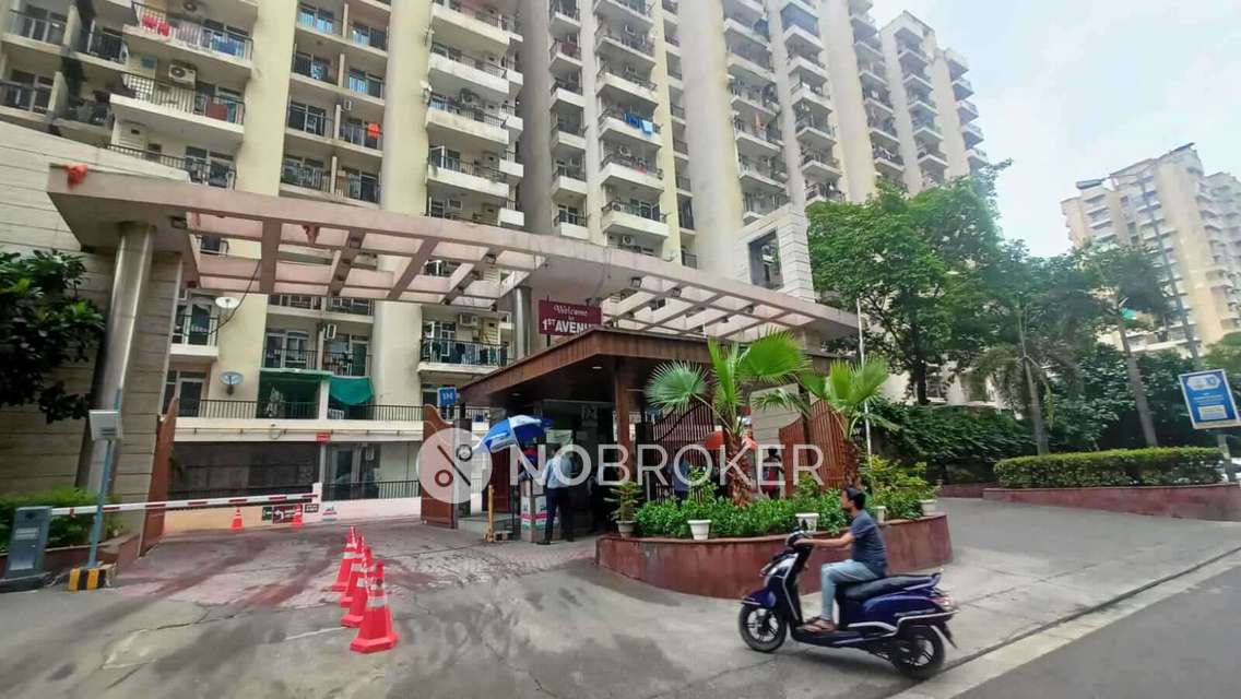 1 RK Flat for Rent  In Vasant Kunj