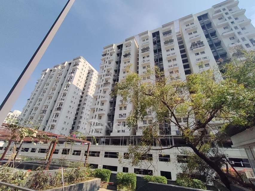 3 BHK Flat In Godrej Greens for Rent  In Undri