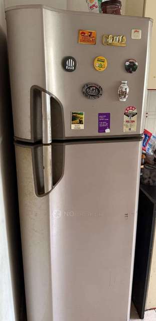 Single Room for Female In 2 BHK  In Dharmamsarteja  In Yerawada