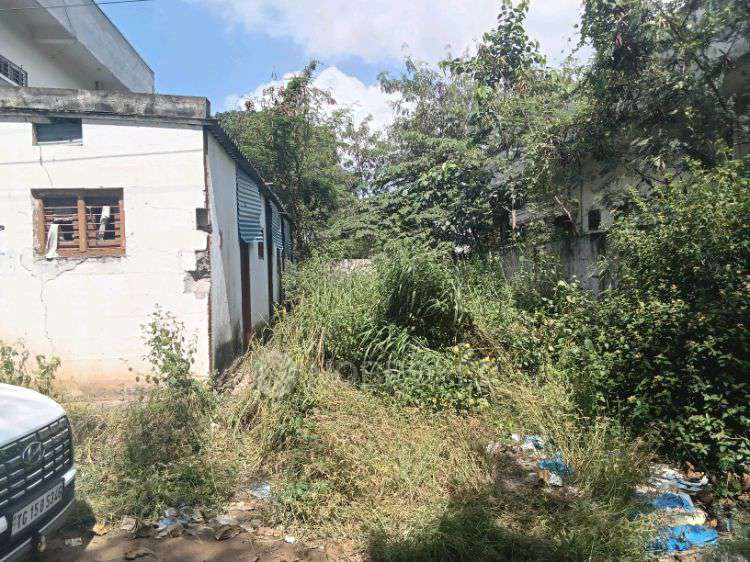 Plot For Sale  In Mohsin In Isnapur