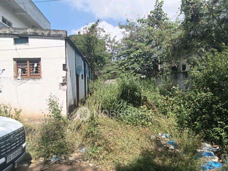 Plot For Sale  In Mohsin In Isnapur