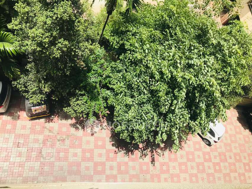 2 BHK Flat In  Oak Vista, Kalepadal for Rent  In Sasane ****** **** ****** ********