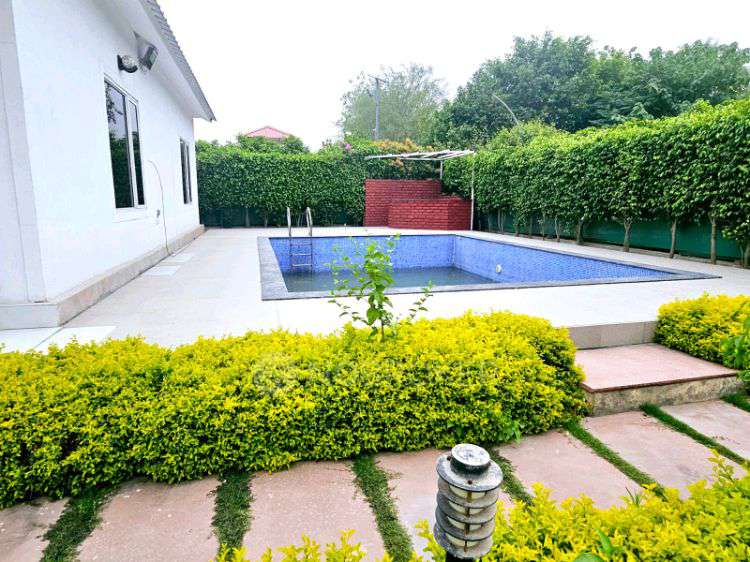 3 BHK Villa In Dkrrish Green Beauty Farms For Sale  In Sector 135