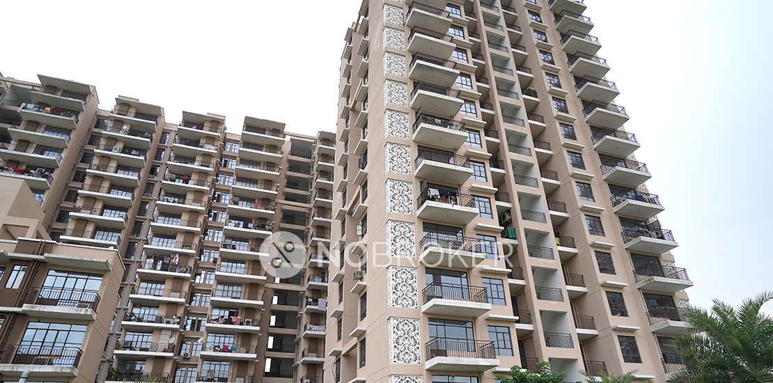2 BHK Flat In Signature Global Synera for Rent  In Sector-81