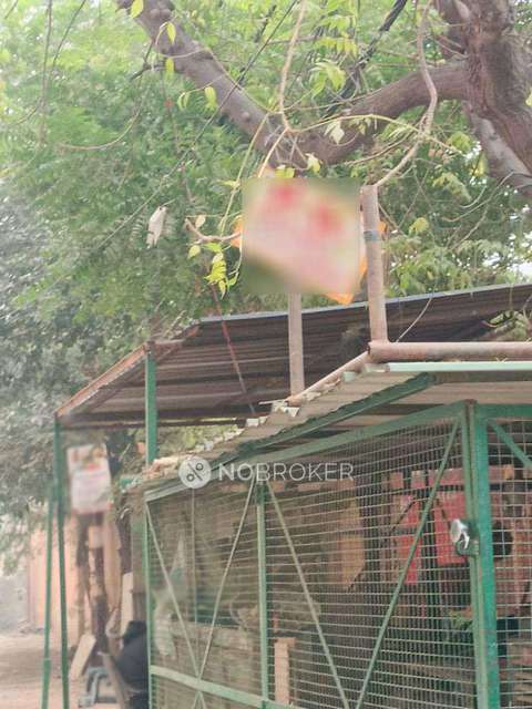 PG for Girls in Khazoori Khas