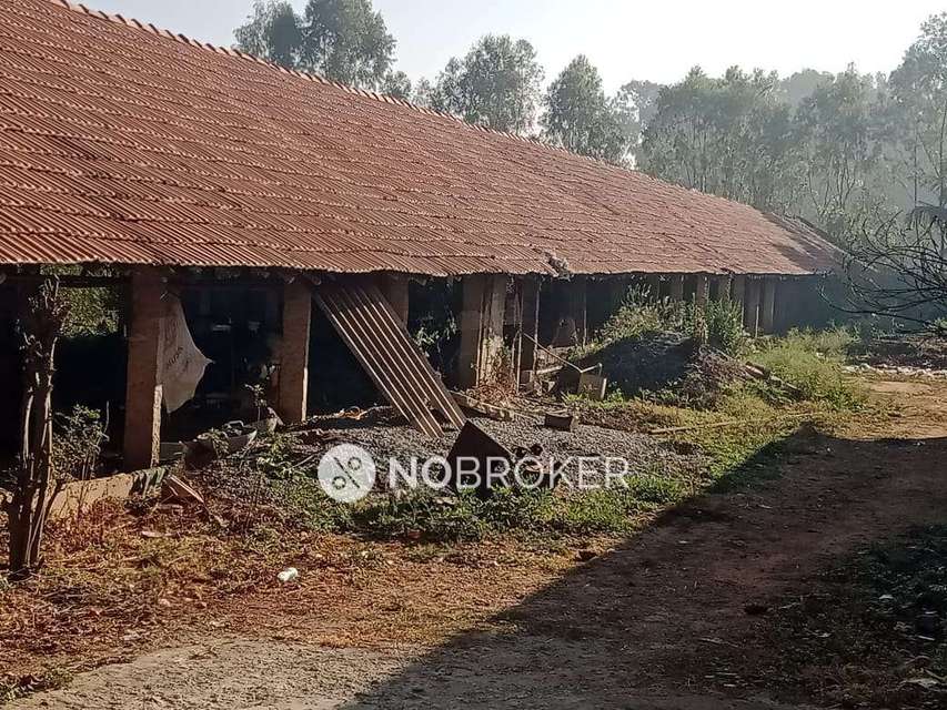 Industrial Shed in Harohalli, Bangalore for Rent 