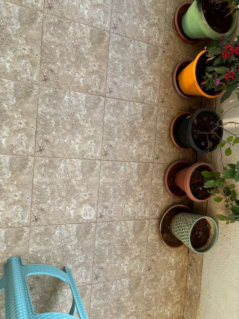 3 BHK Flat In Shree Nanadana Elite For Sale  In Electronic City