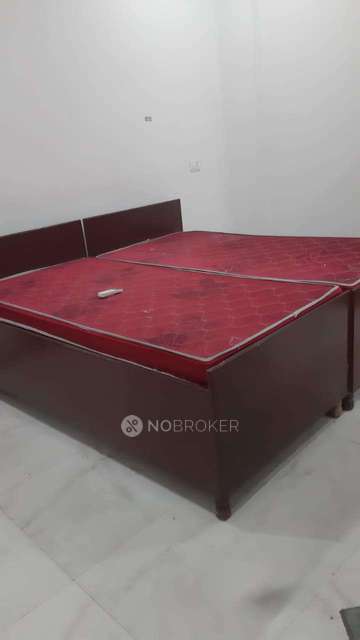 PG for Anyone in  Sector 130