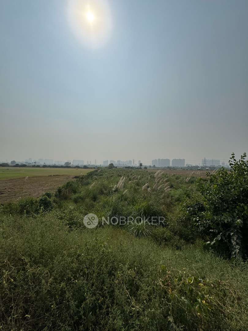 Plot For Sale  In Greater Noida