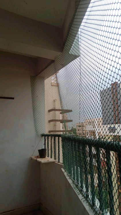 Saqlain Royal Heights