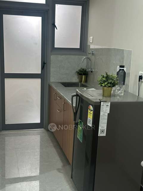 1 RK Flat In The Ivy House for Rent  In Sector 25