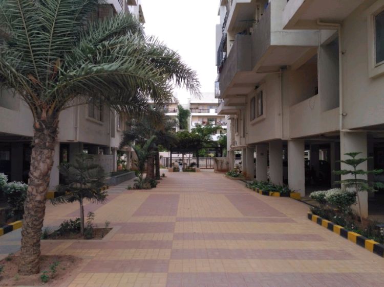 Trifecta Adithya Sollievo