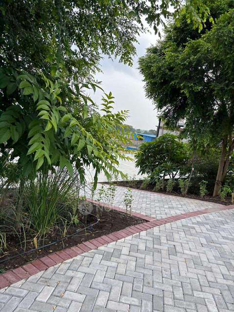 2 BHK Flat In Falcon Tower At Riverview City, Loni Kalbhor for Rent  In Loni Kalbhor