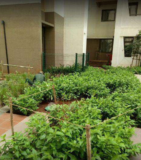 2 BHK Flat In Palava Lakeshore Greens For Sale  In Dombivali