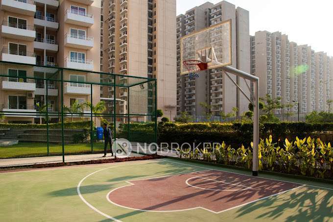 2 BHK Flat In Emenox La Solara, Sector 16  for Rent  In Sector 16 
