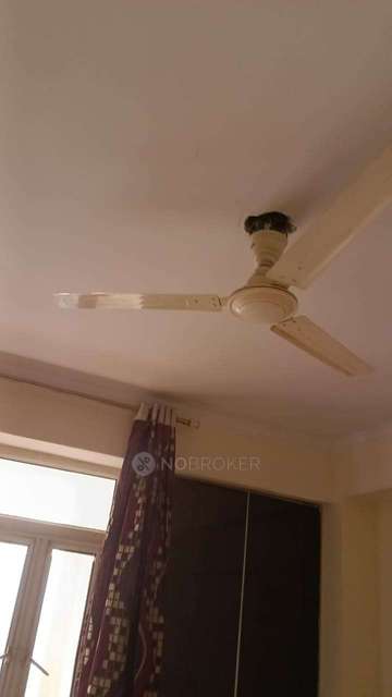 2 BHK Flat In Supertech Ecociti For Sale  In Sector 137