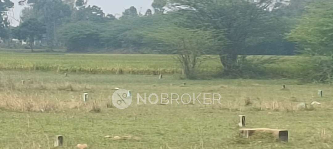 Plot For Sale  In Vengal 