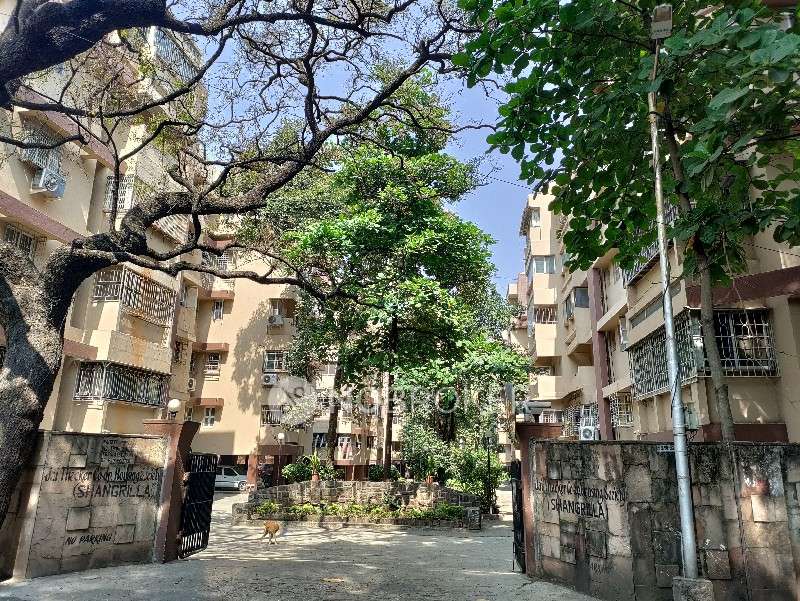 2 BHK Flat In Shangrila Apartments for Rent  In  Sangamvadi