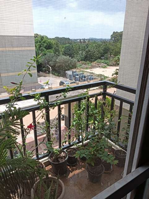 3 BHK Flat In Whistling Woods For Sale  In Yelahanka