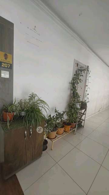 1 BHK Flat In Prem Mairah Residences for Rent  In Hinjawadi