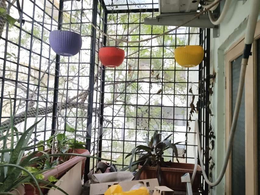 3 BHK Flat In Lalitha Constructions For Sale  In Himayatnagar