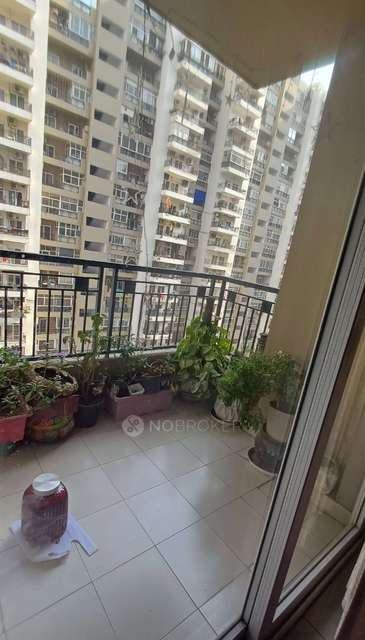 3 BHK Flat In Gulshan Ikebana For Sale  In Sector-143