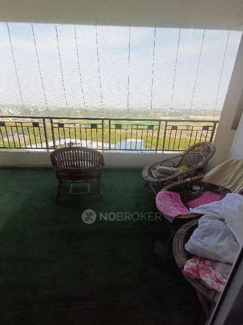 3 BHK Flat In Gulshan Ikebana For Sale  In Sector-143