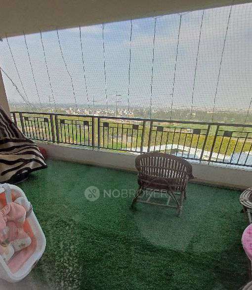 3 BHK Flat In Gulshan Ikebana For Sale  In Sector-143