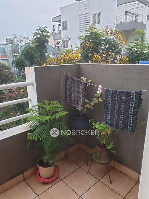 2 BHK Flat In Shiva Palace for Rent  In Division