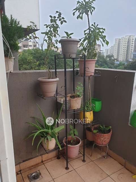 2 BHK Flat In Shiva Palace for Rent  In Division
