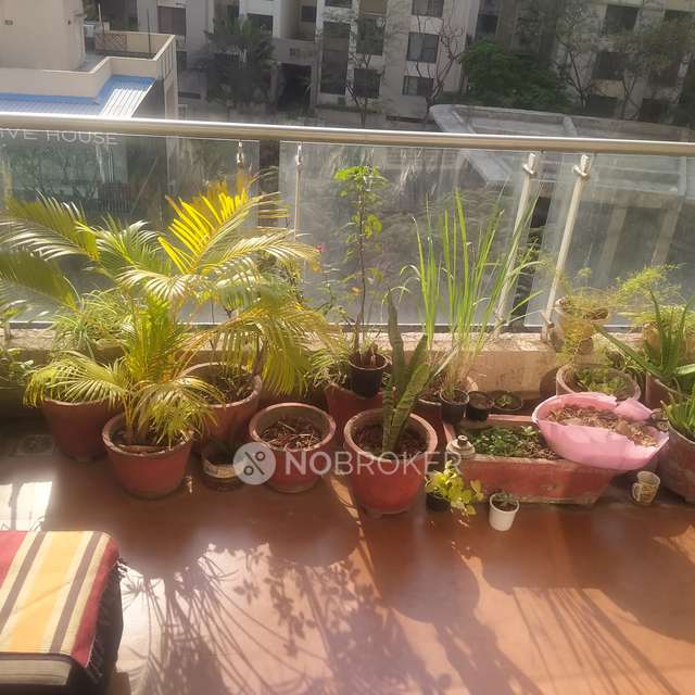 2 BHK Flat In Gulmohar Parkview for Rent  In Kharadi