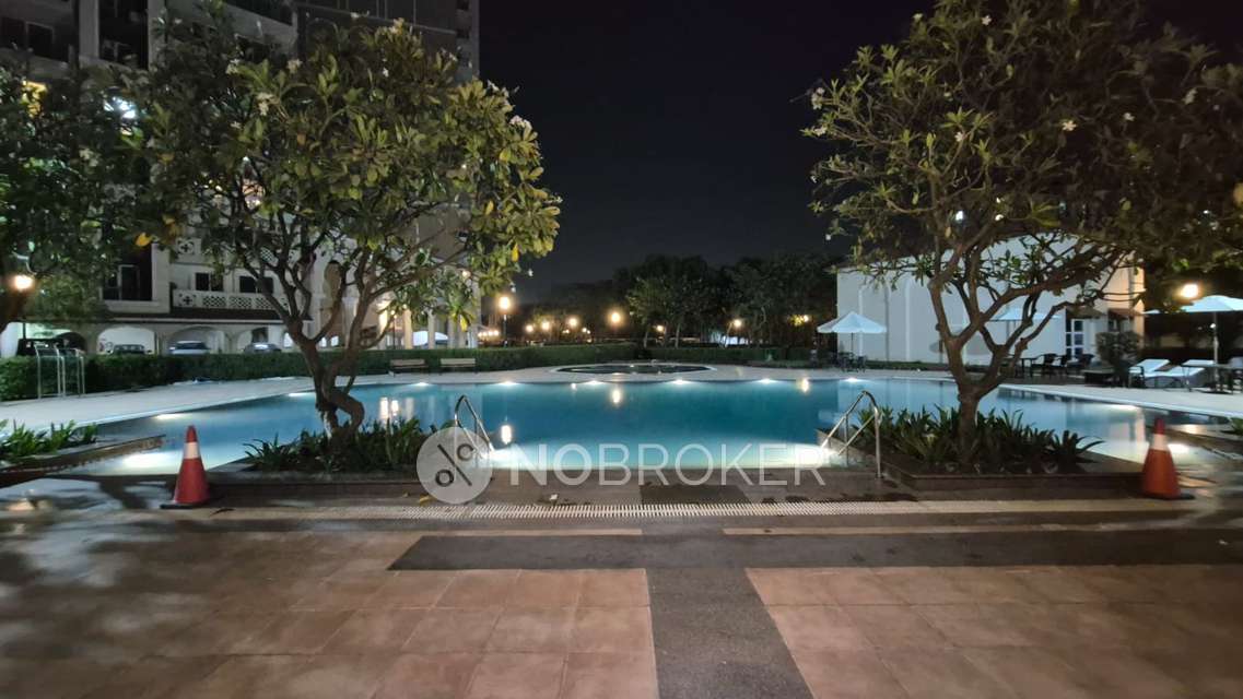 4 BHK Flat In Dlf New Town Heights For Sale  In Sector 91