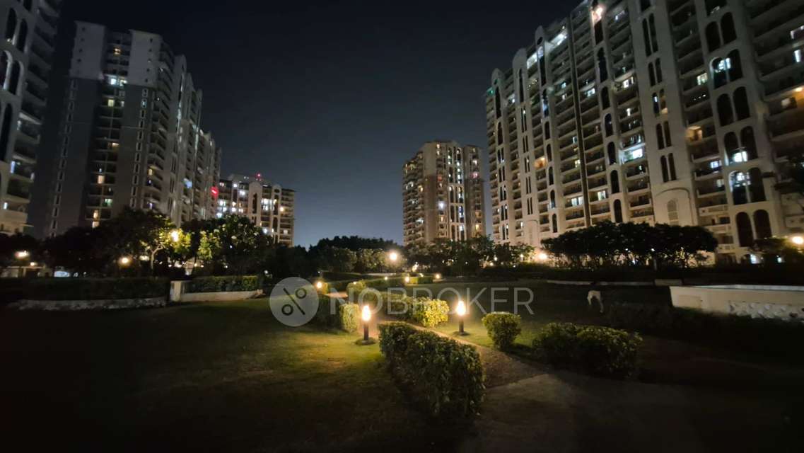 4 BHK Flat In Dlf New Town Heights For Sale  In Sector 91