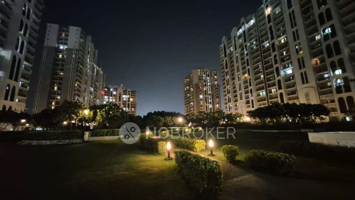 4 BHK Flat In Dlf New Town Heights For Sale  In Sector 91