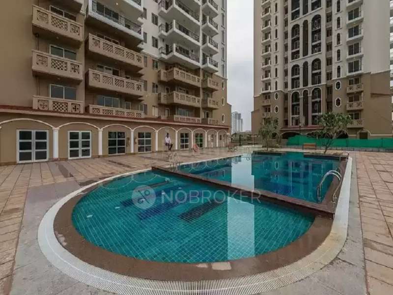4 BHK Flat In Dlf New Town Heights For Sale  In Sector 91