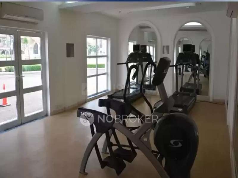 4 BHK Flat In Dlf New Town Heights For Sale  In Sector 91