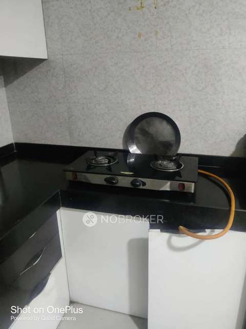 2 BHK Flat In Silver Hill For Sale  In Undri