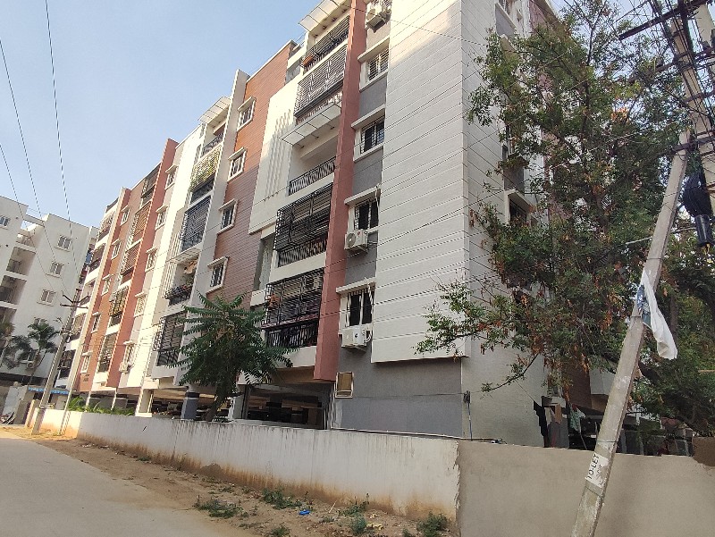 Goldstone Maple Homes