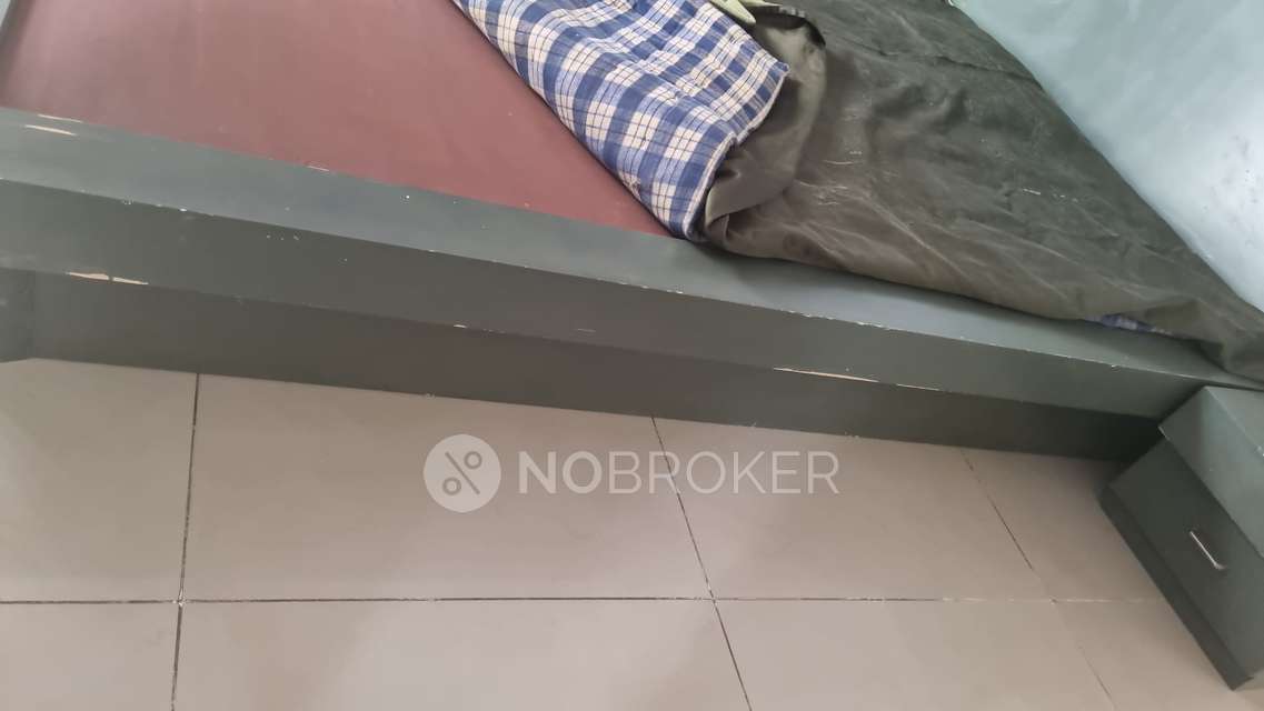 3 BHK Flat In Renaissance Exotica for Rent  In Jakkur