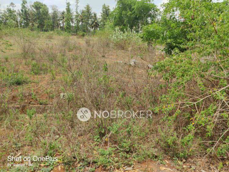 Plot For Sale  In Kaggalipura