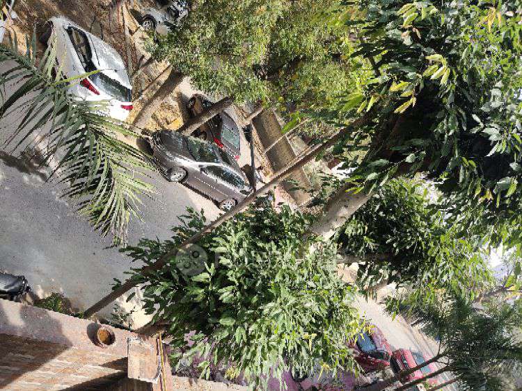 4+ BHK Flat In Standlone Building For Sale  In Sector, Pi I & Ii