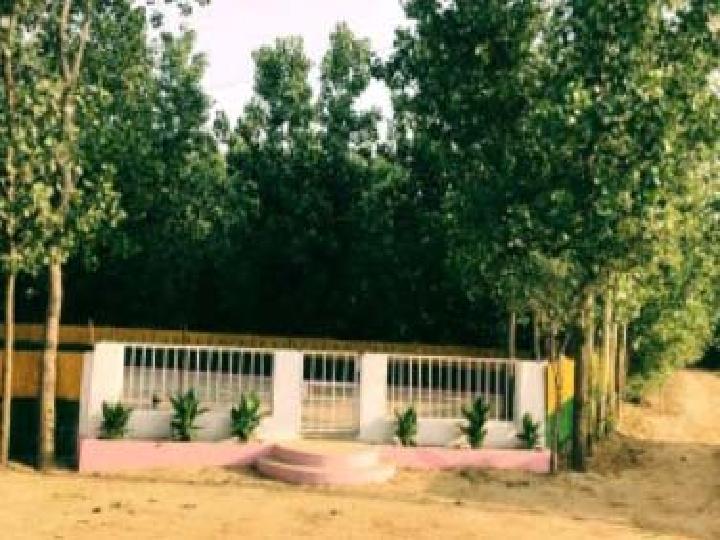 Plot For Sale  In Hariyali Farm In Hariyali Farms