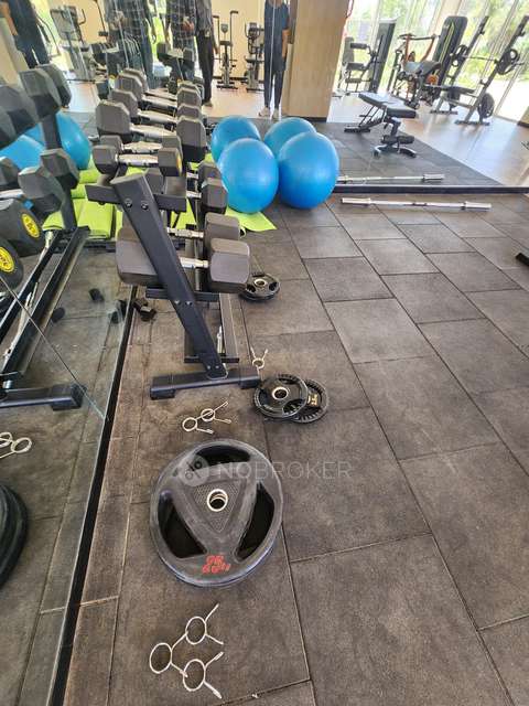 2 BHK Flat In Godrej Nurture for Rent  In Mamurdi