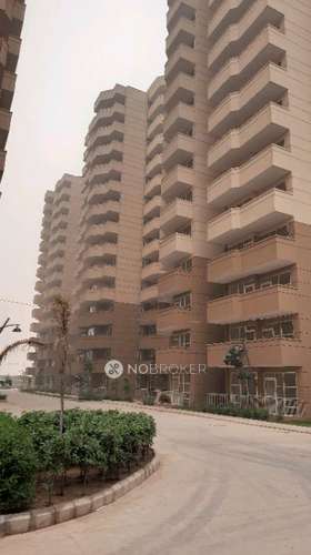 1 BHK Flat In Pyramid Urban Floors for Rent  In Sector 86, 