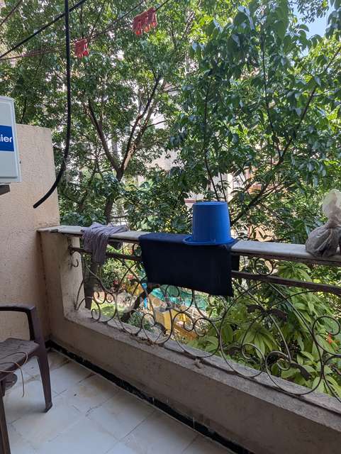 2 BHK Flat In Lunkad Heritage for Rent  In Viman Nagar