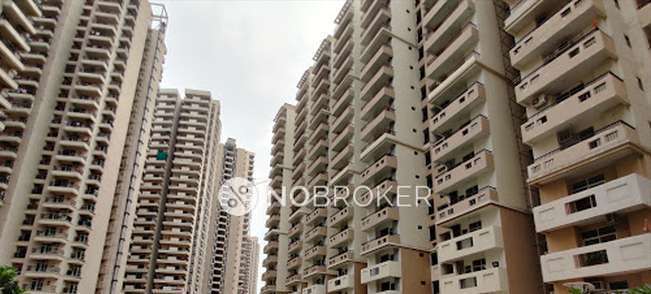 2 BHK Flat In Sanskriti Vihar Gaur City 2 for Rent  In Sector 16c