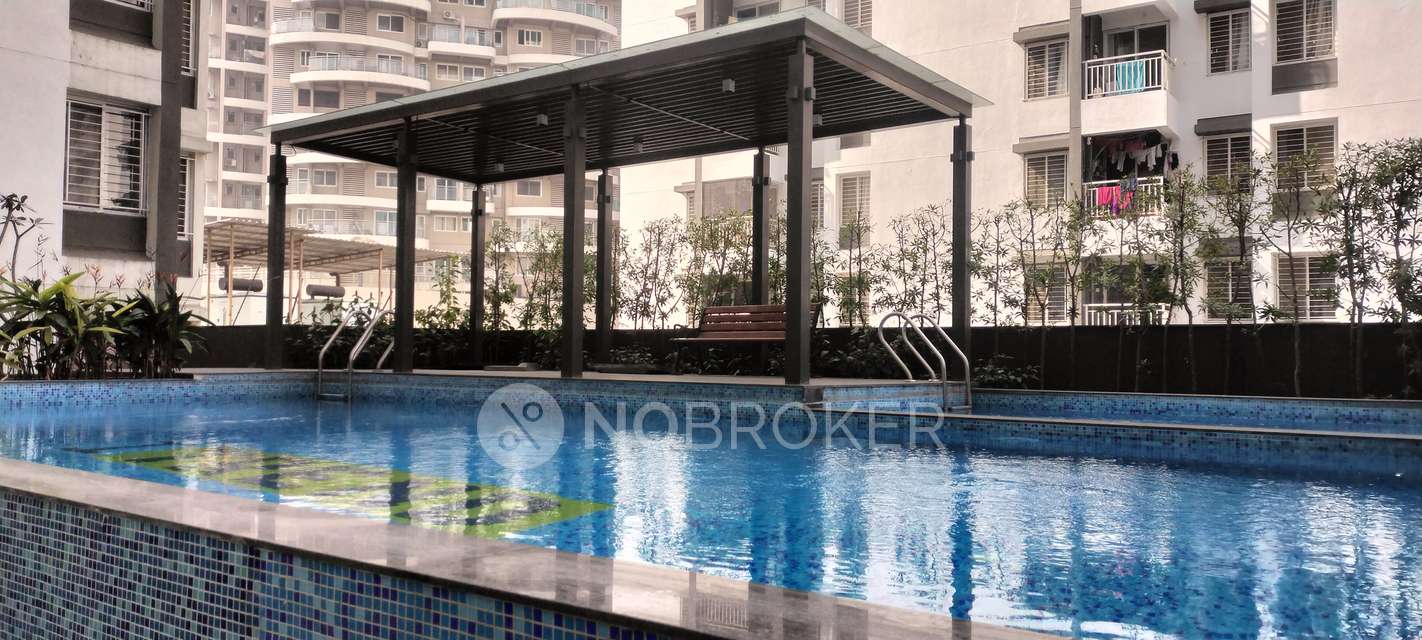2 BHK Flat In Saheel Itrend Life 3 for Rent  In Wakad