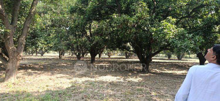 Plot For Sale  In Bichola